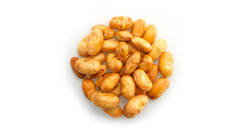 FÈVES DE SOYA, NON SALÉES, RÔTIES À SEC