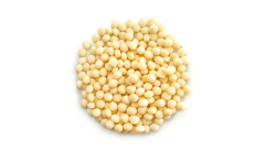 TOASTED PEARL COUSCOUS