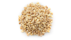 POT BARLEY
