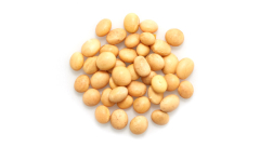 ORGANIC SOY BEANS, RAW