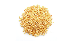 ORGANIC MILLET, HULLED