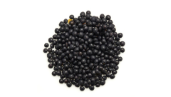 ORGANIC BLACK BELUGA LENTILS