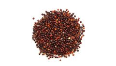 ORGANIC BLACK QUINOA ROYAL