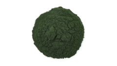ORGANIC SPIRULINA POWDER