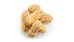 PEANUTS, SALTED, ROASTED, IN SHELL