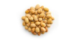 SOY BEANS, SALTED, DRY ROASTED