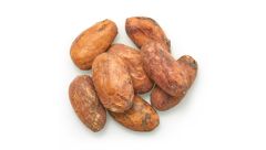 ORGANIC CACAO BEANS, RAW