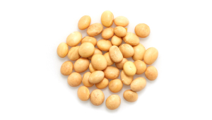 ORGANIC SOY BEANS, RAW