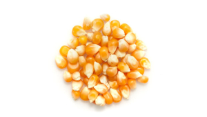 ORGANIC POPPING CORN