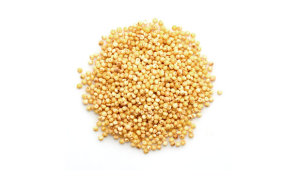 Millet - Grains & Seeds | Yupik