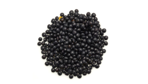 ORGANIC BLACK BELUGA LENTILS