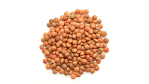 ORGANIC BROWN LENTILS