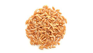 ORGANIC FARRO SEEDS